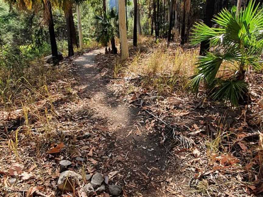 Boowinda Gorge, Carnarvon National Park, QLD