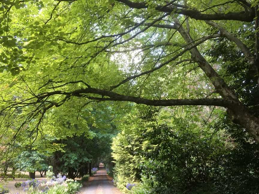 Cooinda Gardens, Mount Macedon, VIC