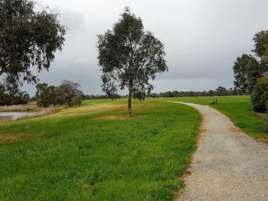 Dandenong Wetlands, Dandenong, VIC