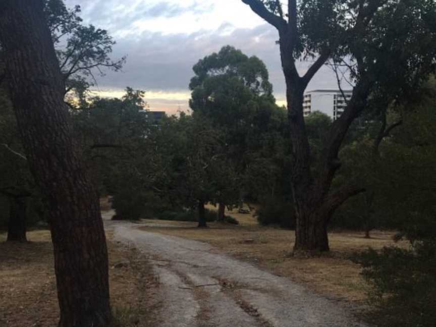 Dickinson reserve, Kew, VIC