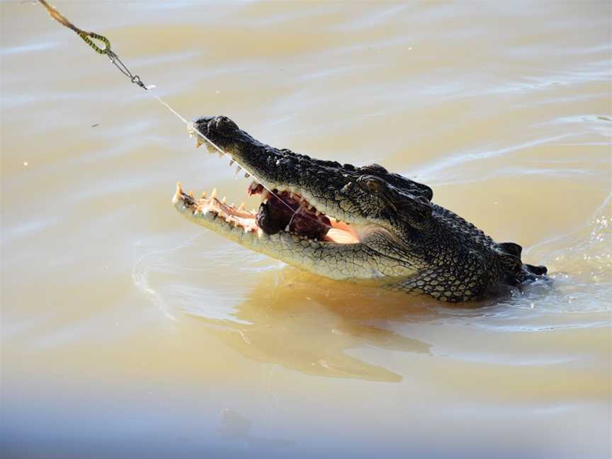 Djukbinj National Park, Marrakai, NT