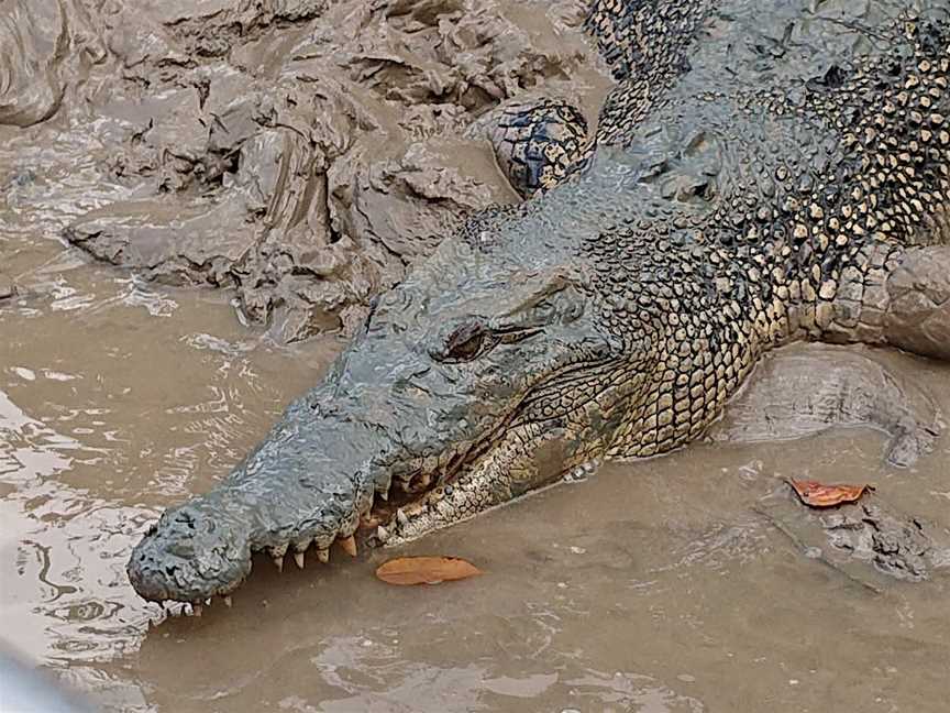 Djukbinj National Park, Marrakai, NT