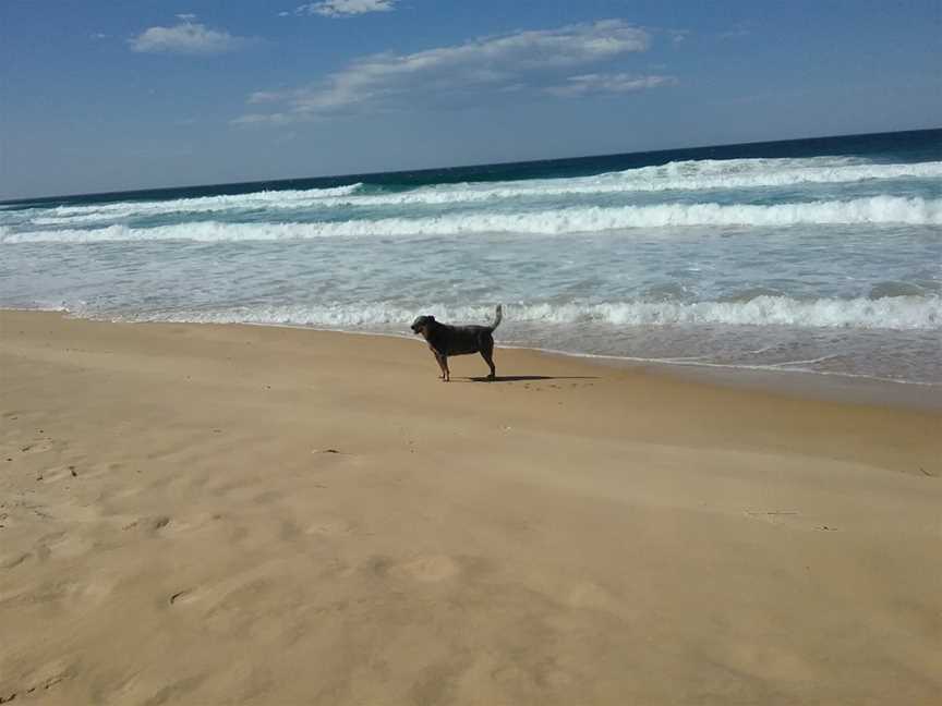 Duesburys Beach, Dalmeny, NSW