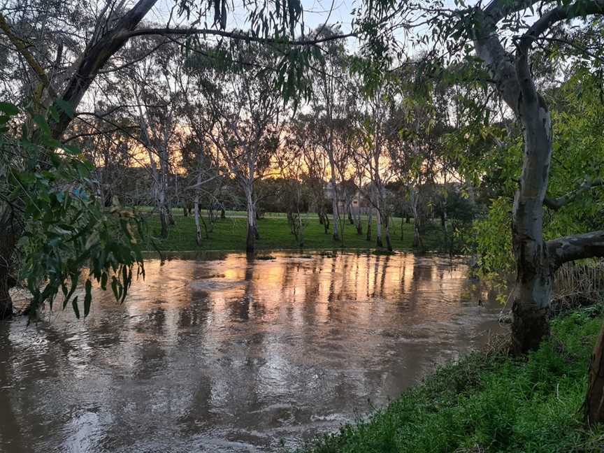 Egan Reserve, Coburg, VIC