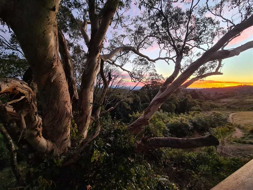 Fishers Lookout & Walking Track Entrance, Bunya Mountains, QLD