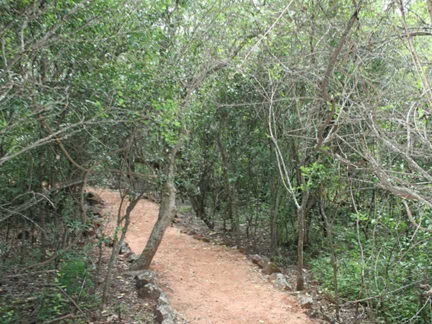 Forty Mile Scrub National Park, Mount Garnet, QLD