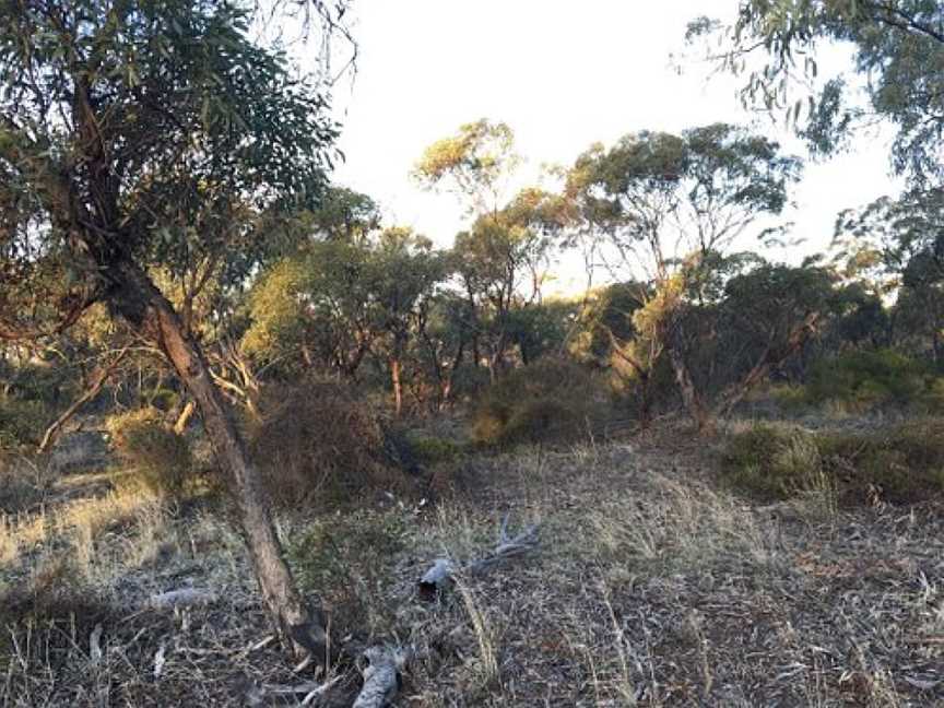 Gerang Gerung Fauna Reserve, Gerang Gerung, VIC