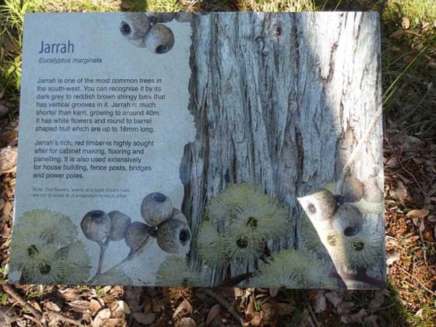 Great Forest Trees Drive, Manjimup, WA