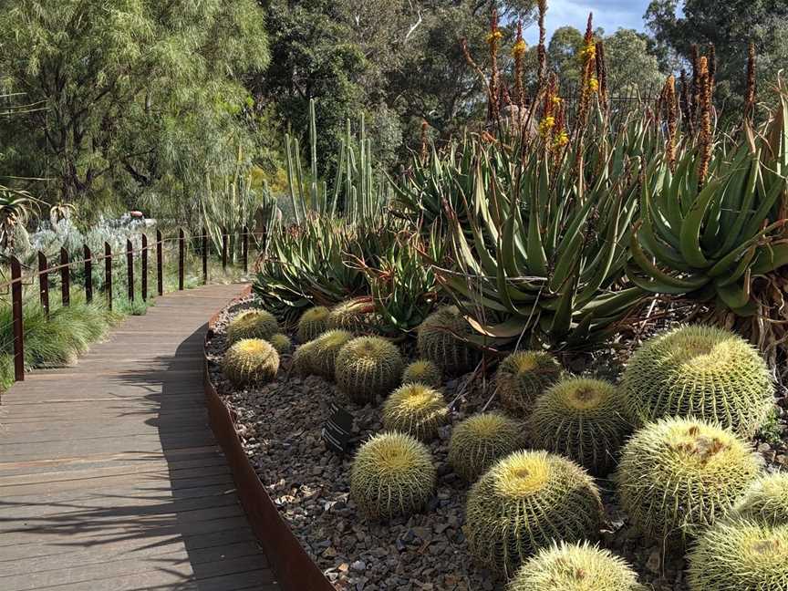 Guilfoyle's Volcano, South Yarra, VIC