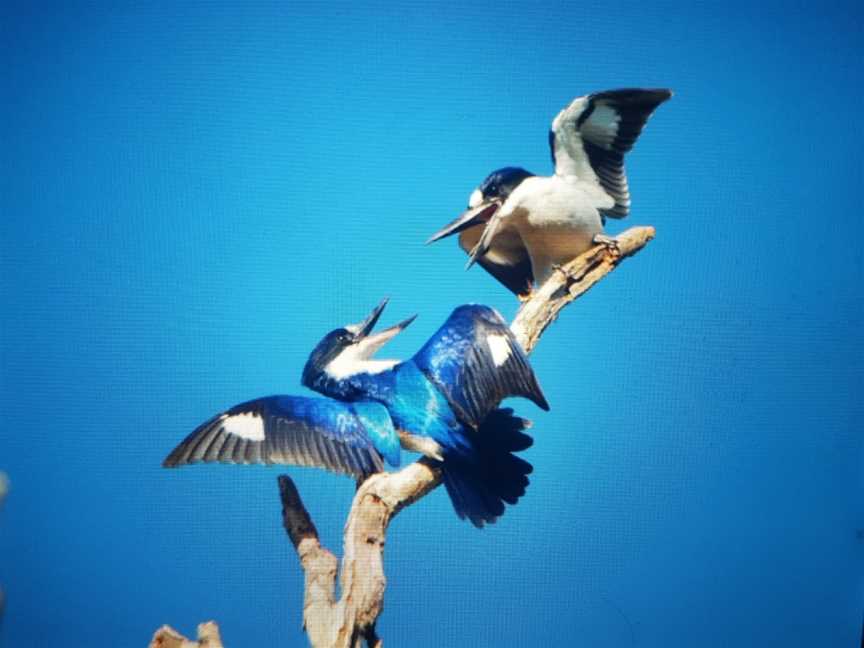 Gungarre Walk, Kakadu, NT