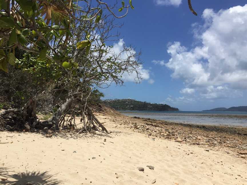 Hideaway Bay, Hamilton Island, QLD