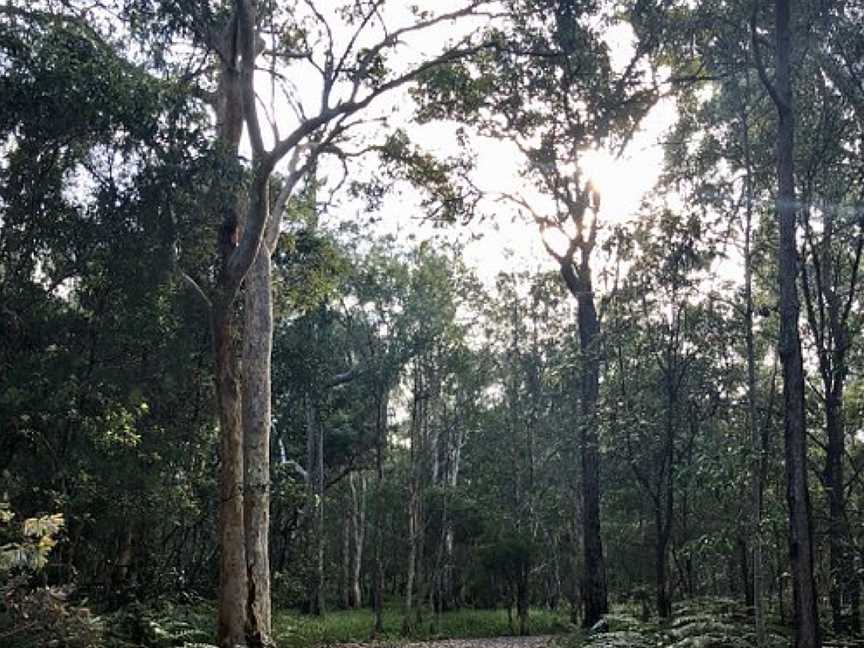 Karawatha Forest Walk, Brisbane, QLD