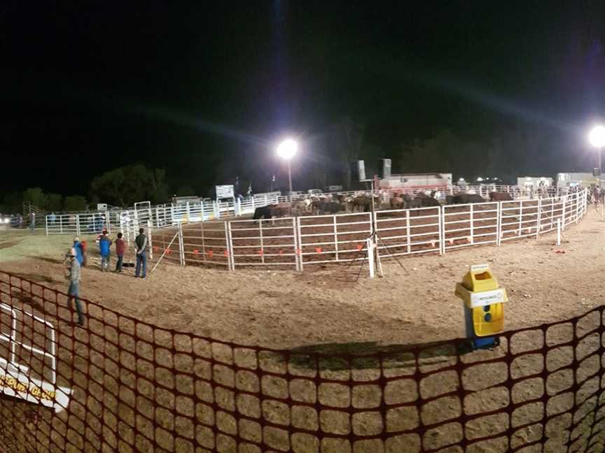 Kenny Park, Merbein, VIC