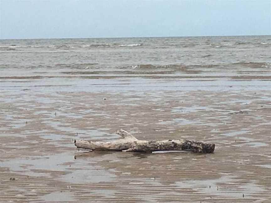 Kurrimine Beach National Park, Kurrimine Beach, QLD