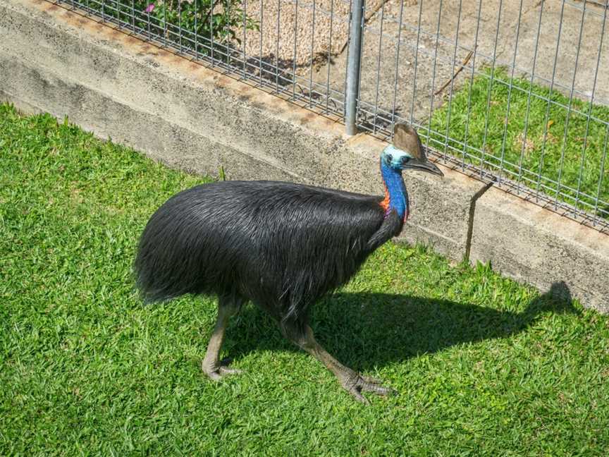 Moresby Range National Park, Innisfail, QLD