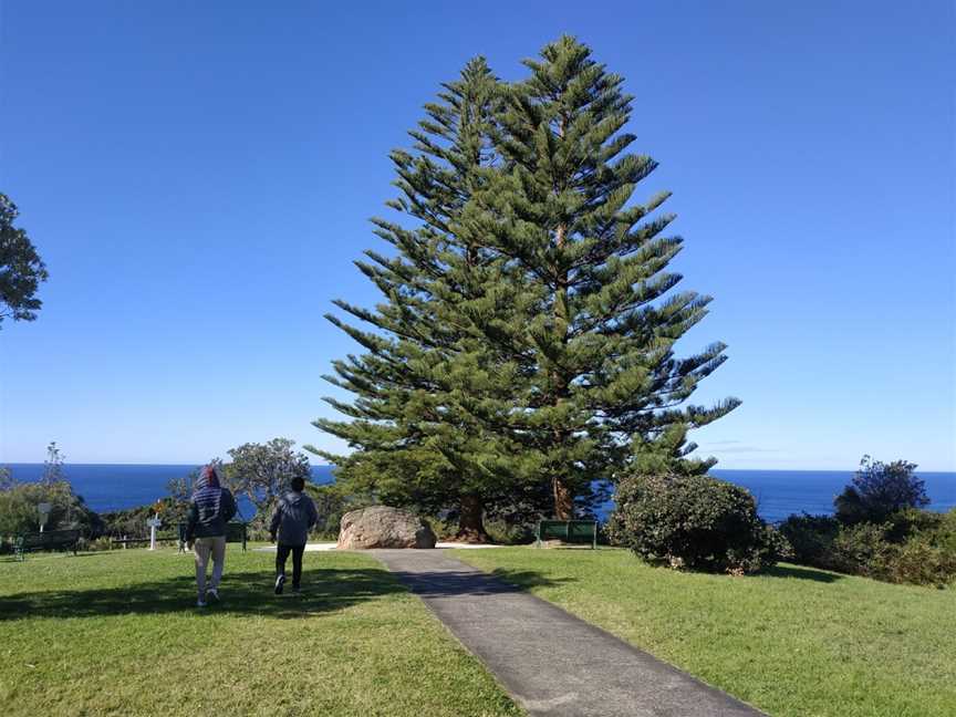 Moronga Park, Wollongong, NSW