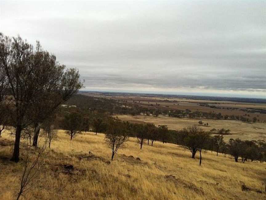 Mount Jeffcott Flora and Fauna Reserve, Donald, VIC