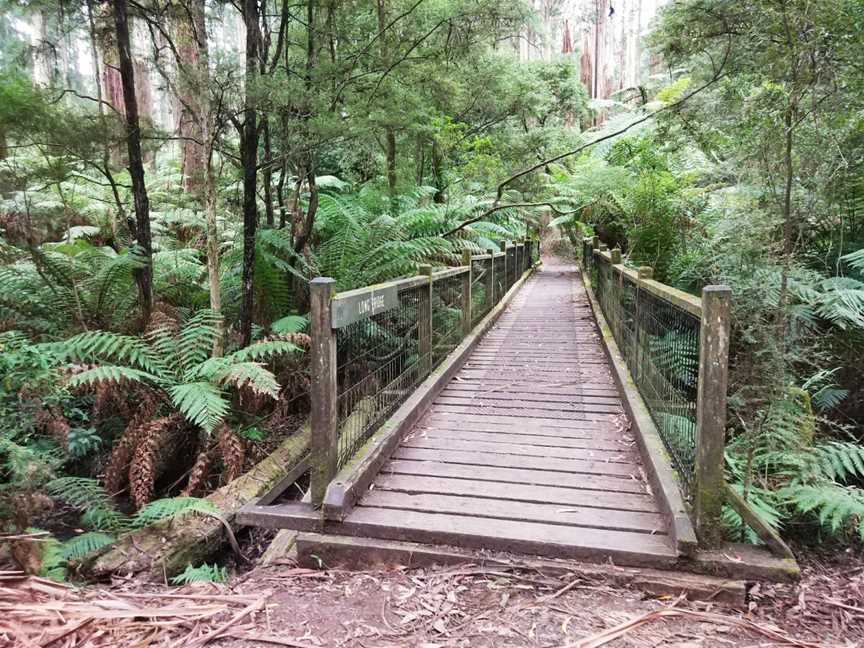 O'Donohue Picnic Ground, Sherbrooke, VIC