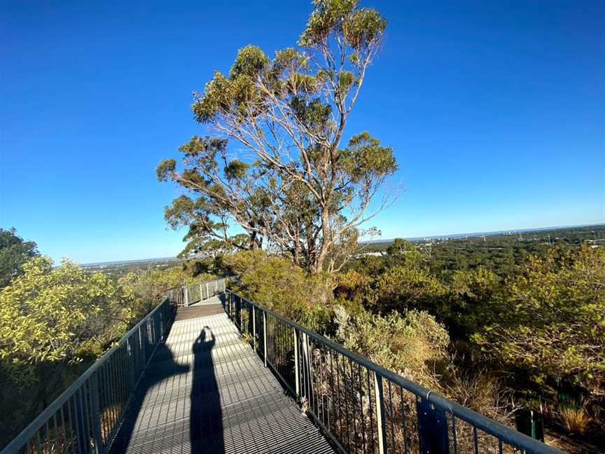 Reabold Hill Summit Lookout, Floreat, WA