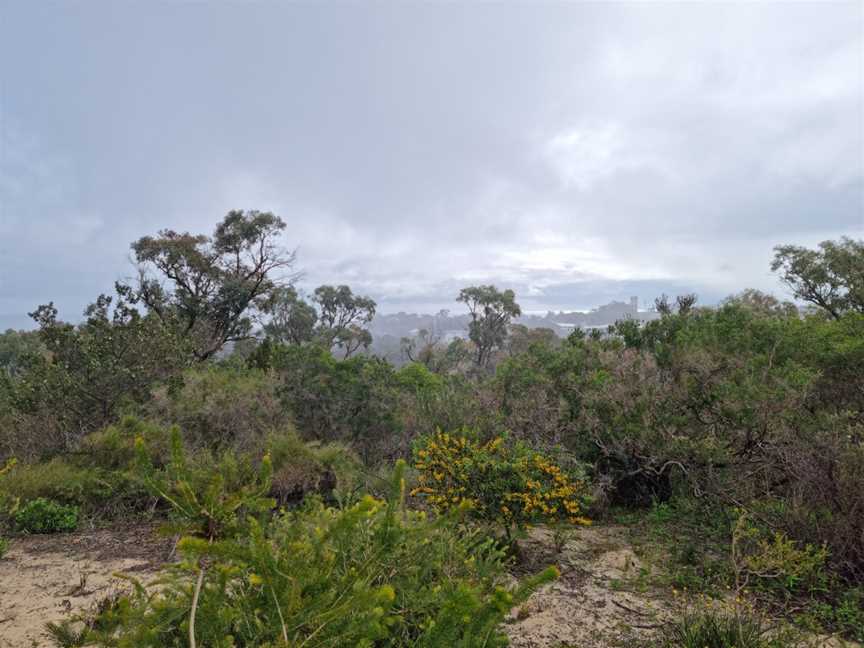 Reabold Hill Summit Lookout, Floreat, WA