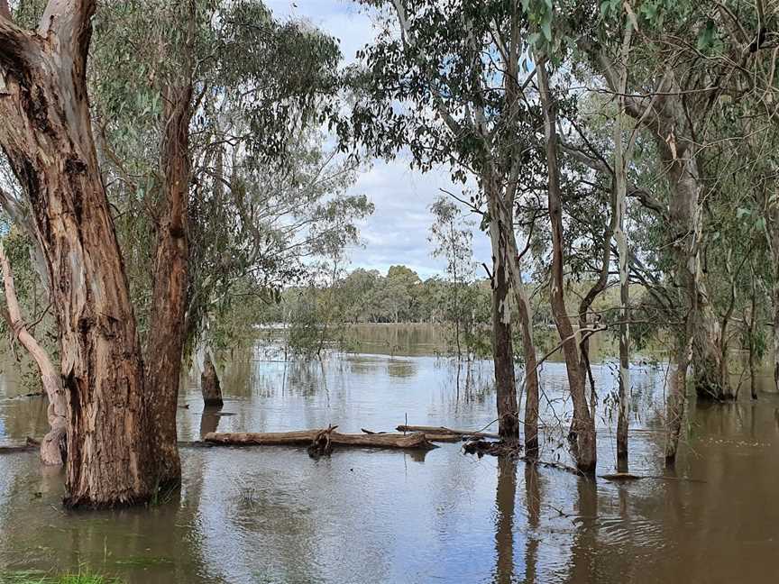 Reedy Creek, Eldorado, VIC