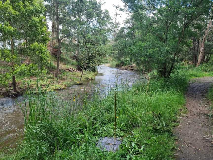 Robin Hood Reserve, Drouin, VIC