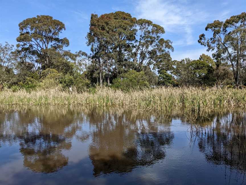 Shaxton Reserve, Frankston, VIC