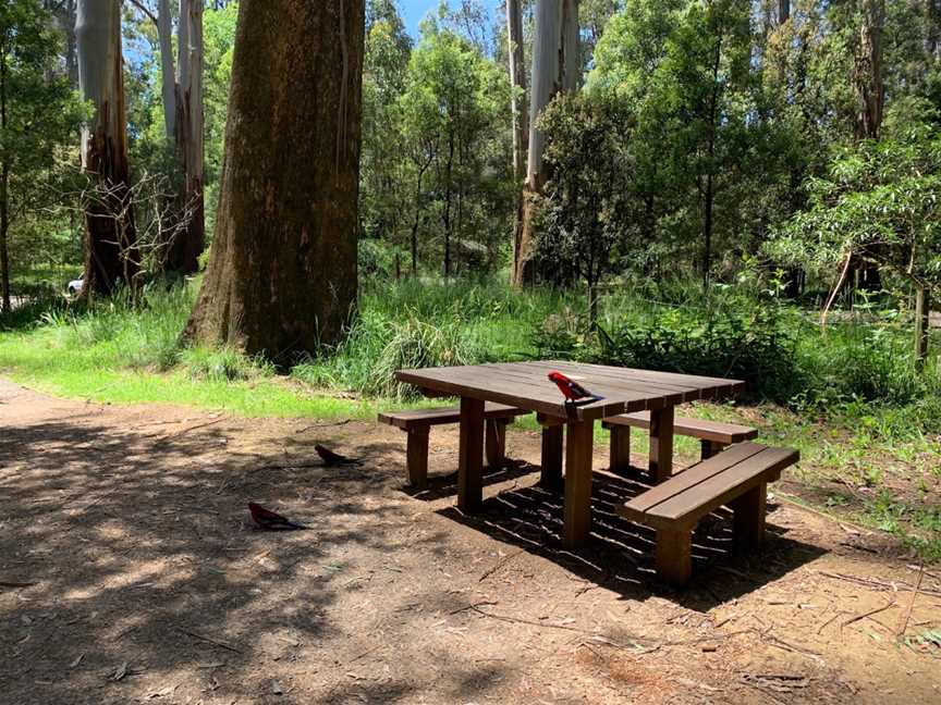 Sherbrooke Picnic Ground, Sherbrooke, VIC