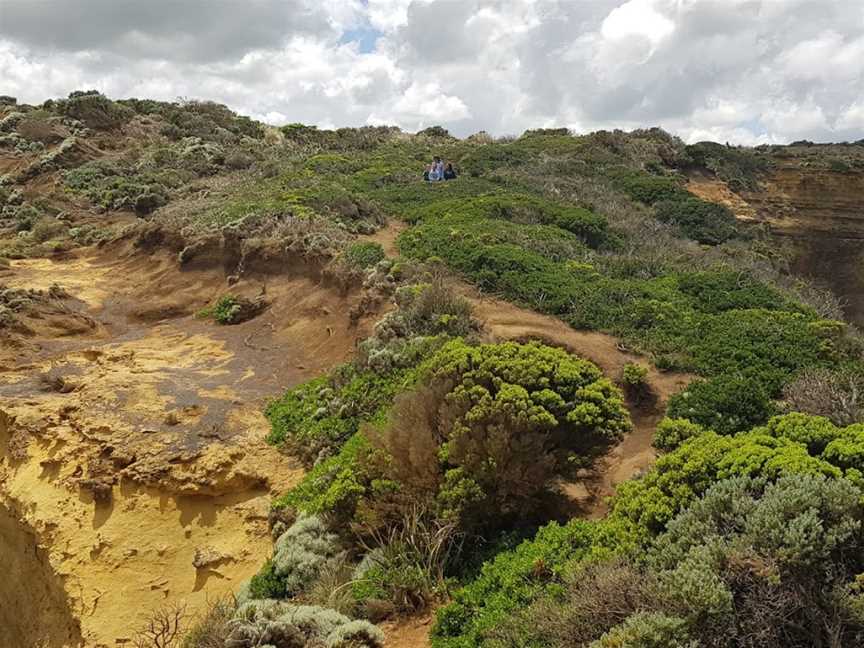 Sparkes Gully Lookout, Port Campbell, VIC