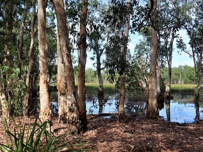 Tabletop Track, Litchfield Park, NT