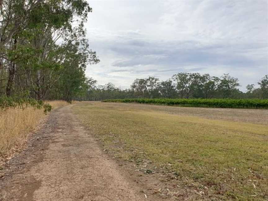 Tahbilk Wetlands And Wildlife Reserve, Nagambie, VIC