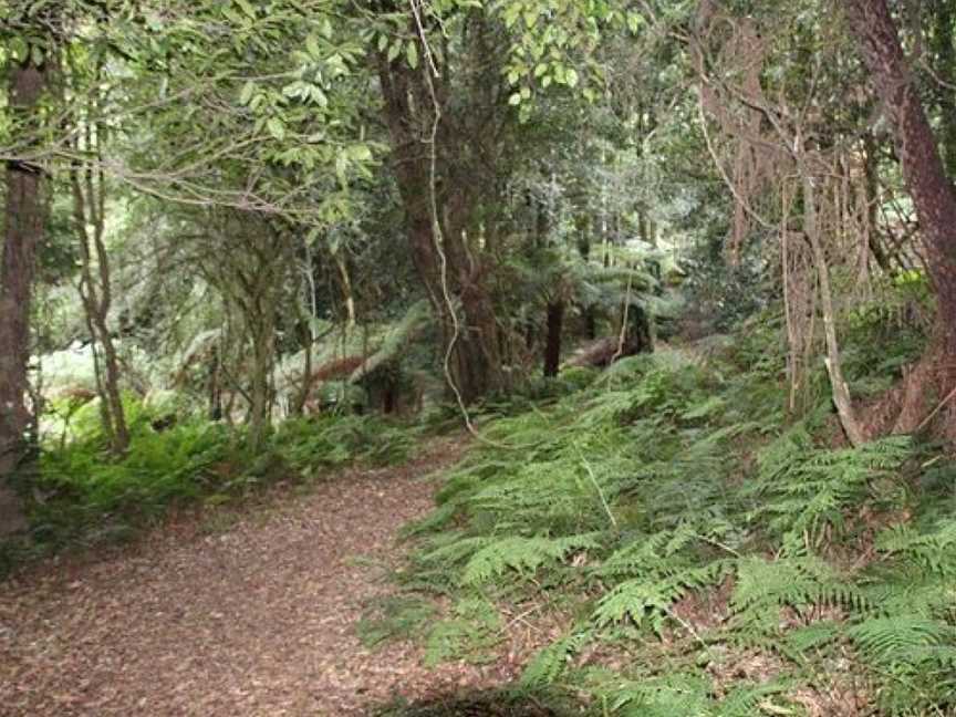 The Lady Nancy Fairfax Walk, Mount Tomah, NSW