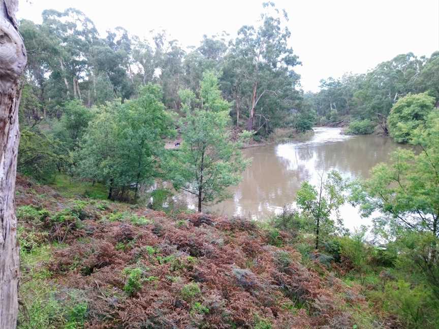 Tikalara Park, Templestowe, VIC