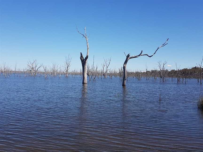 Toolondo Reservoir, Toolondo, VIC