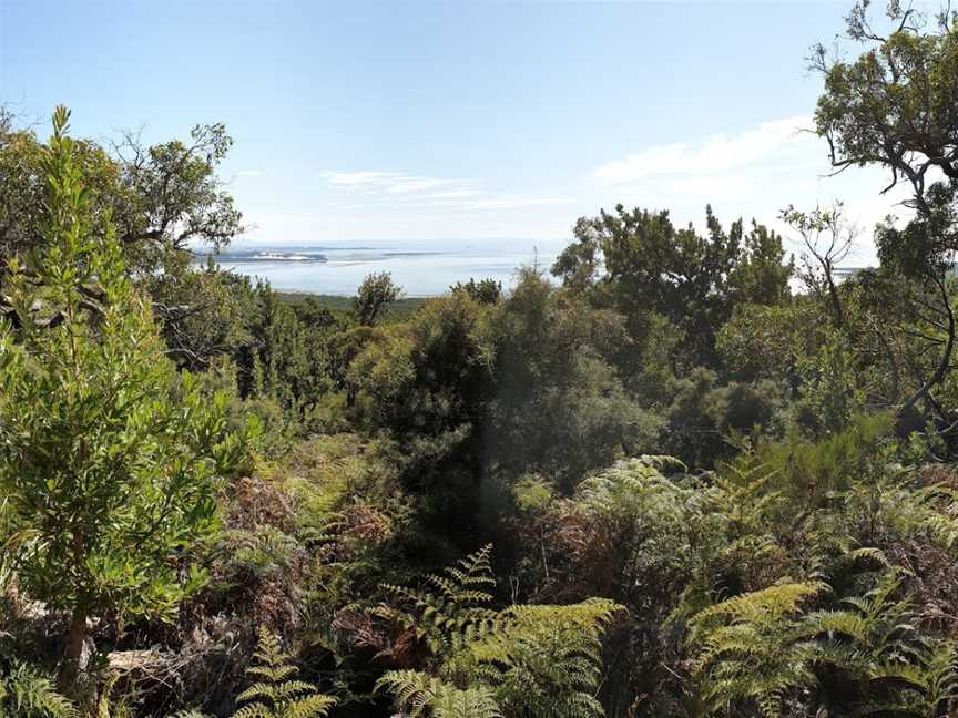 Vereker Outlook, Wilsons Promontory, VIC