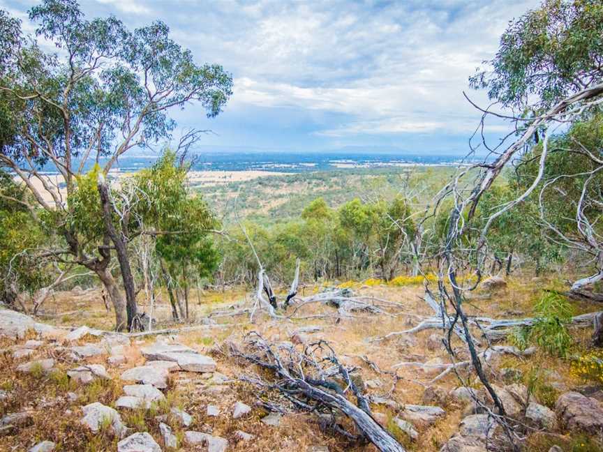 Warby Tower Lookout, Wangaratta, VIC