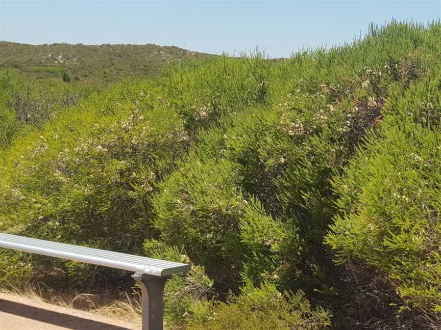 Wedge Lookout, Cervantes, WA