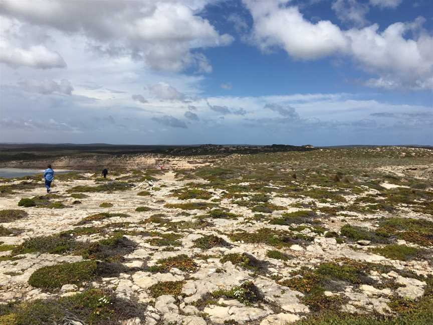 West Cape Lighthouse, Inneston, SA