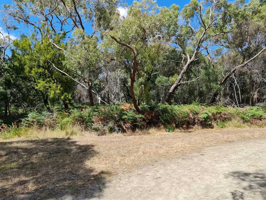 Witternberg Reserve, Frankston, VIC