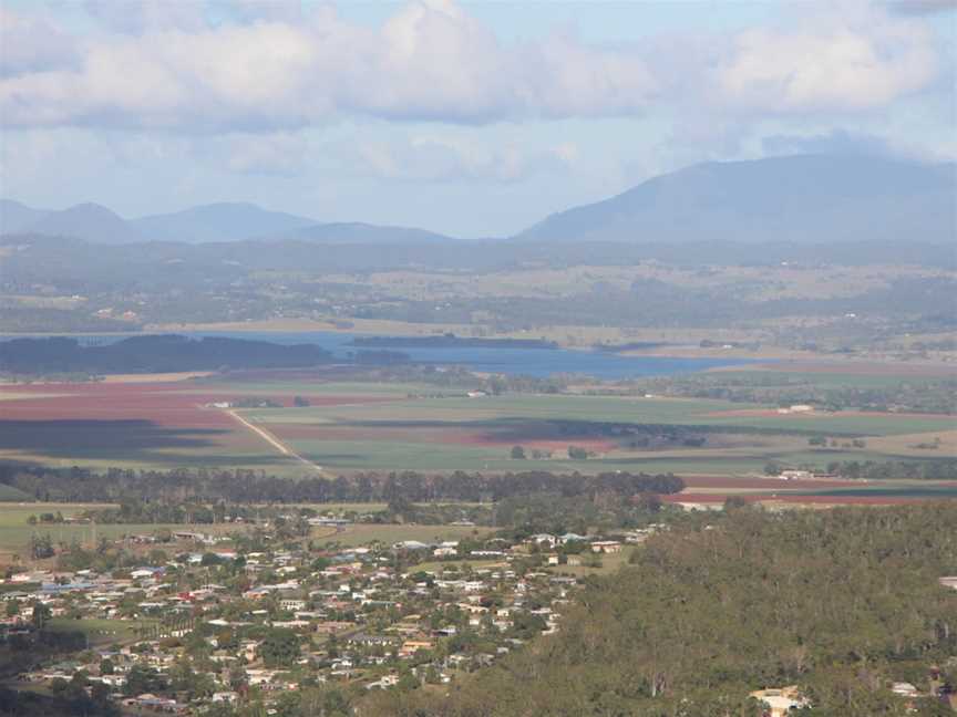 Wongabel State Forest, Atherton, QLD