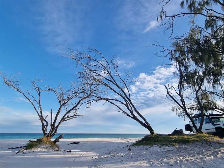 Awinya Creek, K'gari, QLD