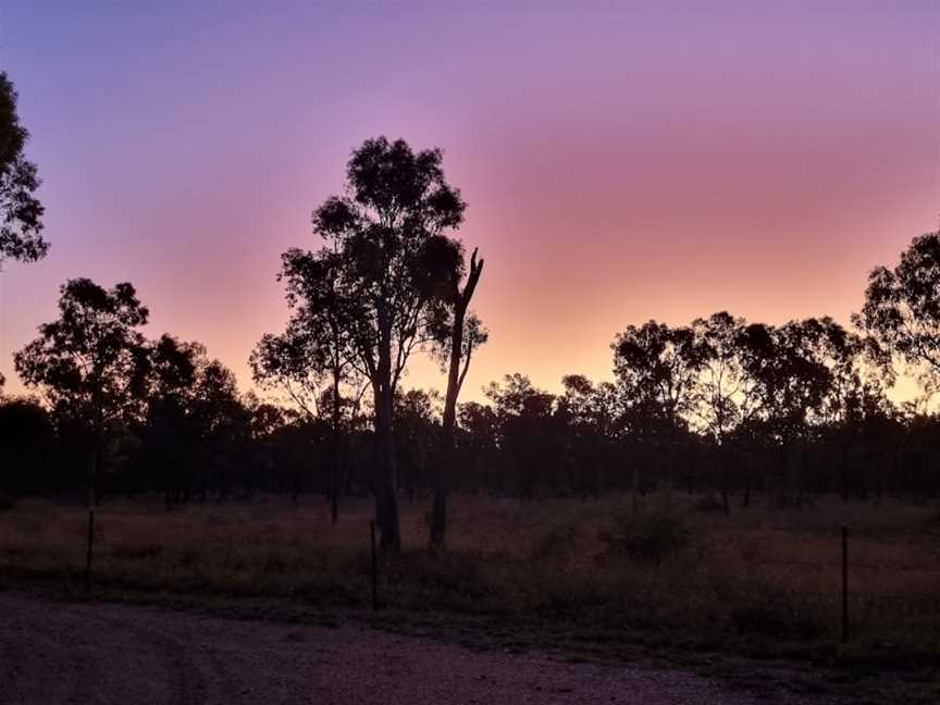 Blackwood National Park, Scarborough, QLD