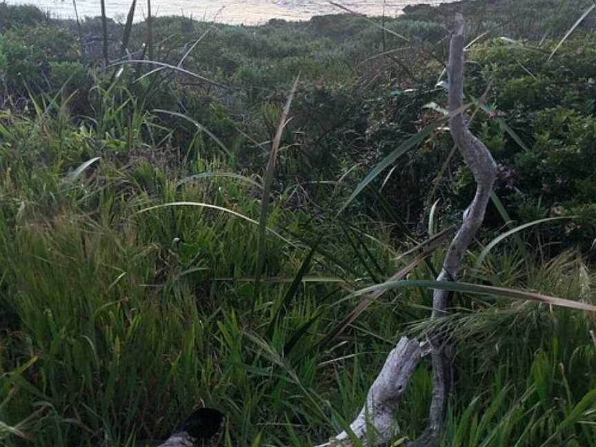 Boodjidup Creek Walk, Gnarabup, WA