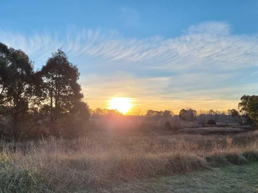 Bong Bong Common, Burradoo, NSW