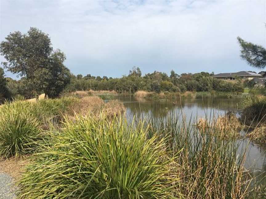 Botanic Ridge Wetlands, Cranbourne, VIC