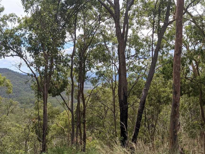 Bulburin National Park, Bundaberg, QLD