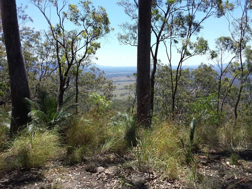 Bulburin National Park, Bundaberg, QLD