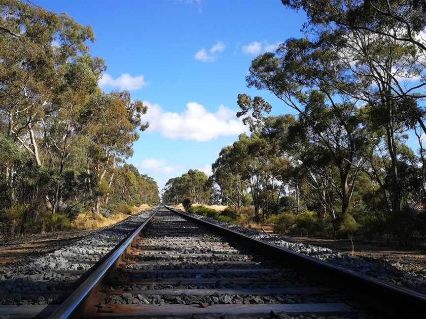 Clunes Bushland Reserve, Clunes, VIC