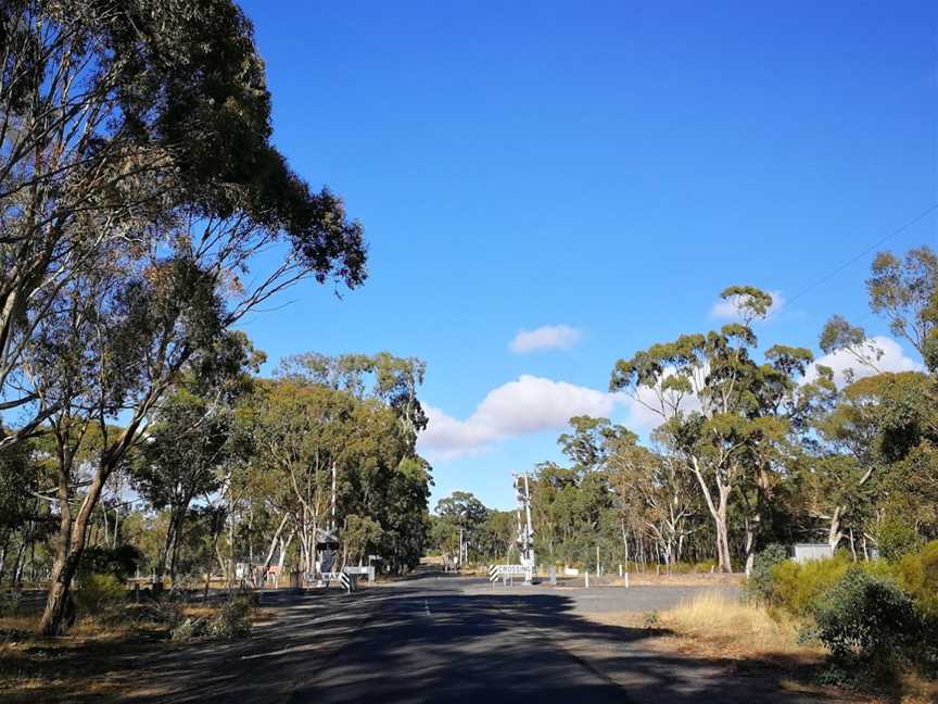 Clunes Bushland Reserve, Clunes, VIC