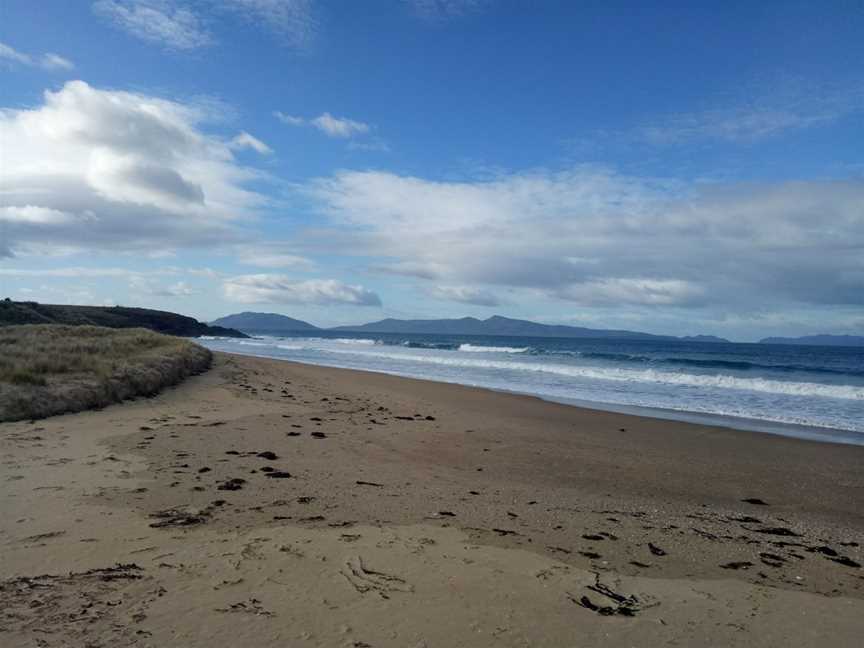 Cressy Beach Conservation Area, Swansea, TAS